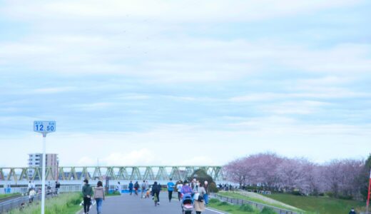 【江戸川】【市川駅】おすすめ江戸川フォトスポット～桜～