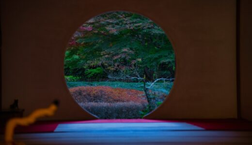 [紅葉]鎌倉で紅葉とお寺を撮るならここ！明月院～円覚寺編