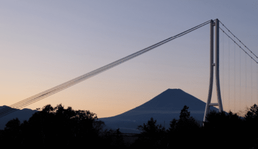 [日本一のつり橋]雨の日もアジサイで楽しめる！おすすめ写真スポット、三島スカイウォーク！