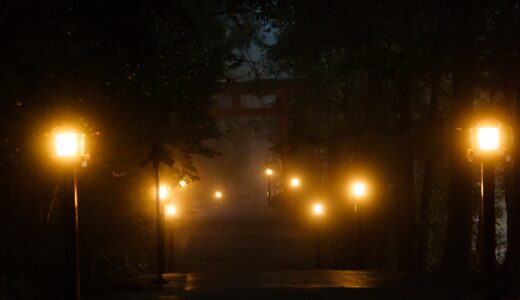 [強羅駅]神秘的な霧が織りなす冬の箱根の幻影写真