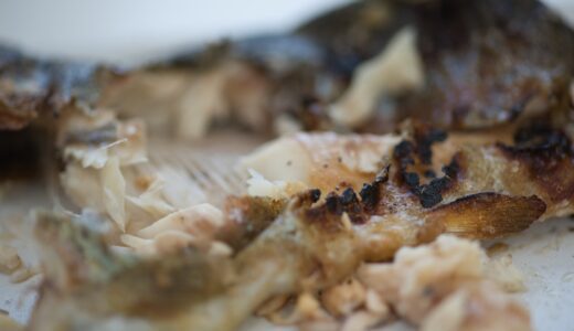 [根府川駅]小田原で新幹線撮影と渓流釣り体験を楽しむならここ！！「白糸マス釣りセンター」