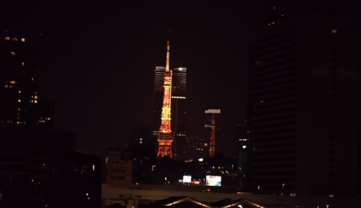 [東京タワー][夜景]雨の情景写真、ネオン彩る幻想的な世界