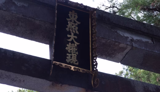 [日光東照宮]絢爛豪華な装飾に息をのむ！魅力と歴史に迫る