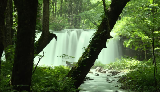 【Hachinohe】 stunning scenery and gourmet.